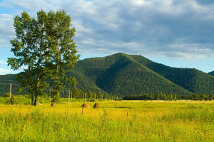 green hill and farmland in Teploozersk, Russia